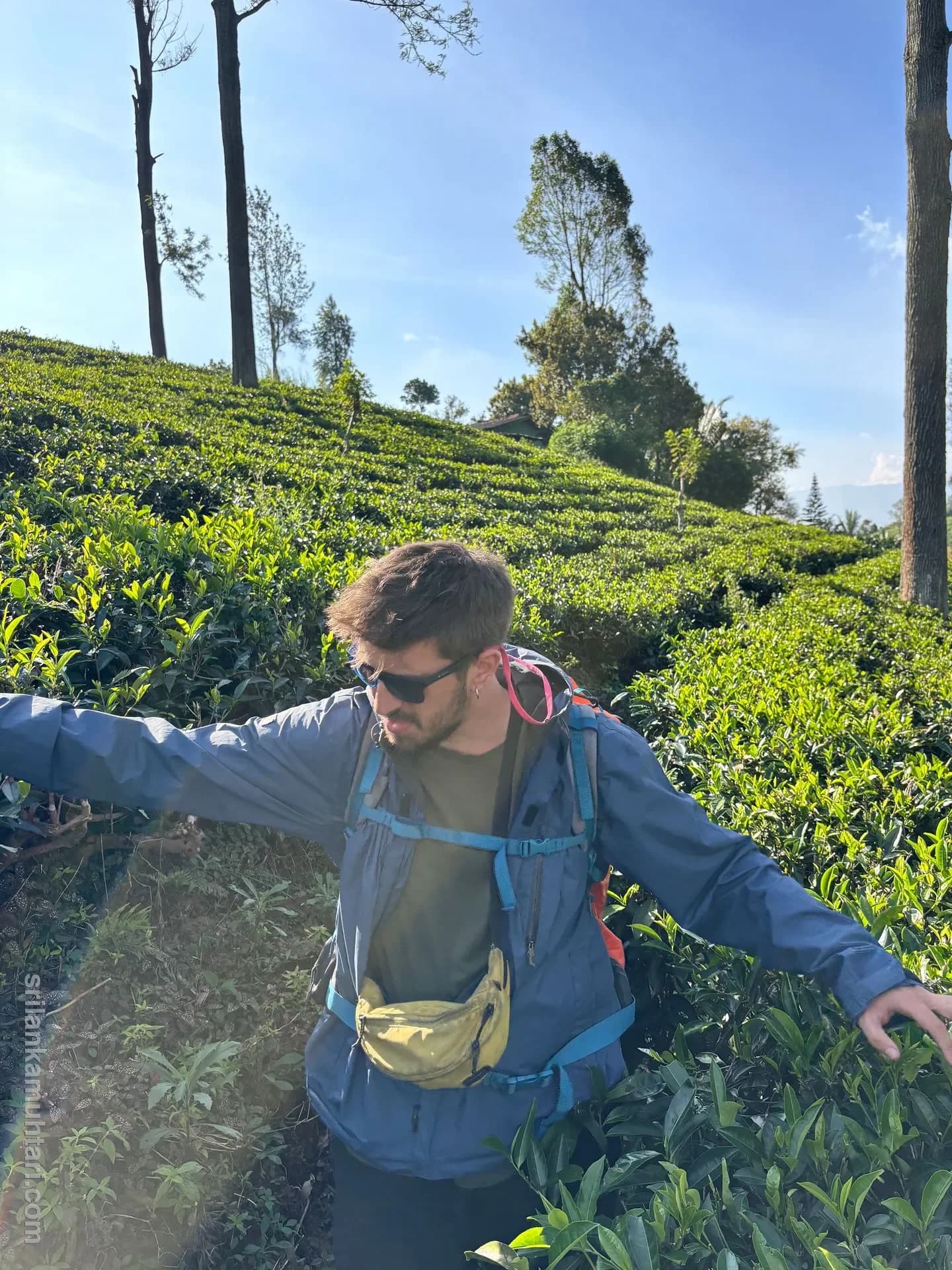 Nuwara Eliya: Sri Lanka'nın Küçük İngiltere'si