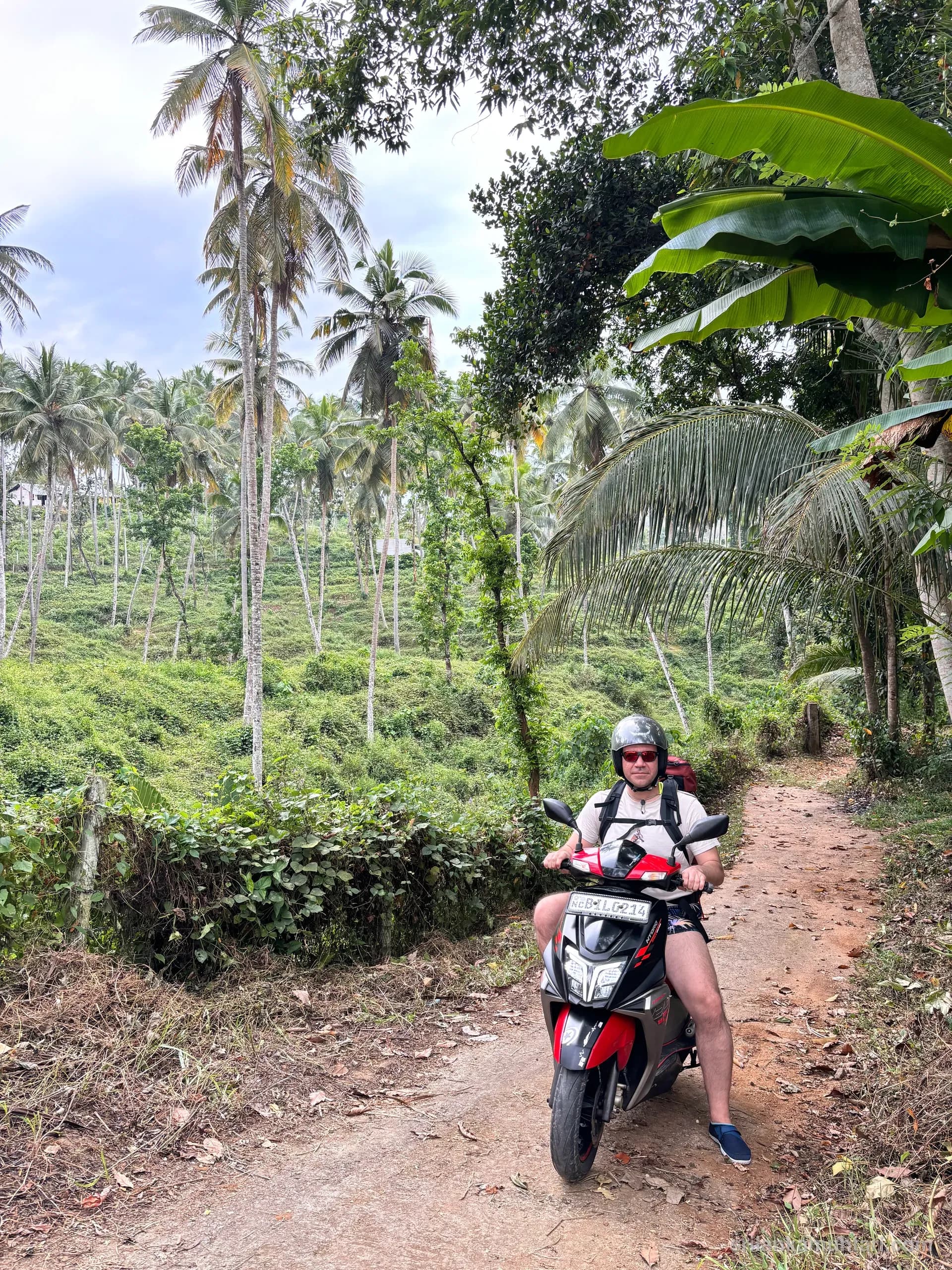 Sri Lanka Motor Turu Rehberi